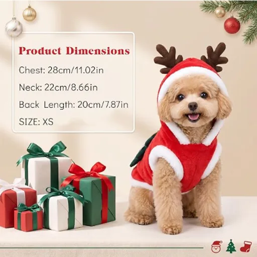 Christmas Pet Costume