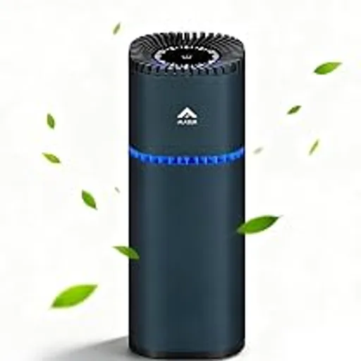 Portable Car Air Purifier