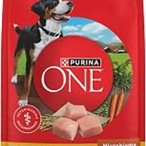Purina ONE Chicken & Rice Formula Dry Dog Food, 8 lb Bag