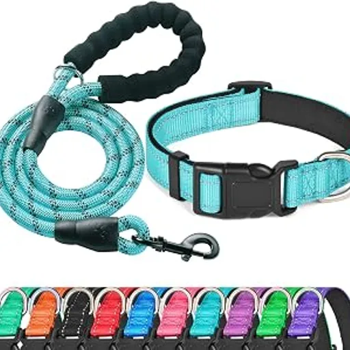 Ladoogo Reflective Dog Collar Padded with Soft Neoprene, Medium, Turquoise