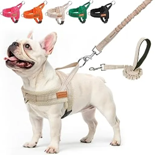 BEAUTYZOO Dog Harness and Leash Set
