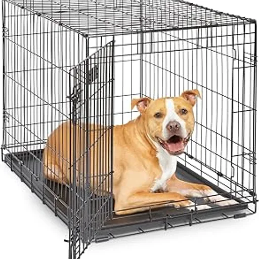 Midwest 36-Inch Single Door iCrate, for Medium-Large Breeds, 41-70 lbs
