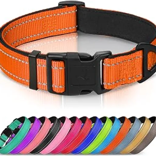 Joytale Reflective Dog Collar, Adjustable Neoprene Padded, Orange L