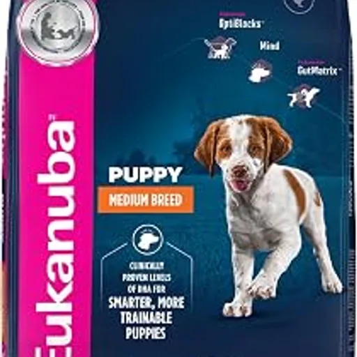 EukanubaMedium Puppy Dry Dog Food, 33 lb Bag | Complete & Balanced Nutrition, For Puppies, Crunchy Kibble, Real Chicken First, Lean Muscle Support, Bone Develop