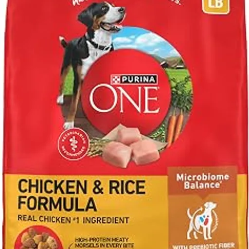 Purina ONEChicken & Rice Formula Dry Dog Food, 31.1 lb Bag | High protein dog food with a microbiome balance and SmartBlend of ingredients like prebiotic fiber