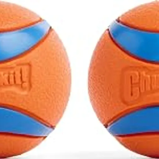 Chuckit! Ultra Ball Dog Toy