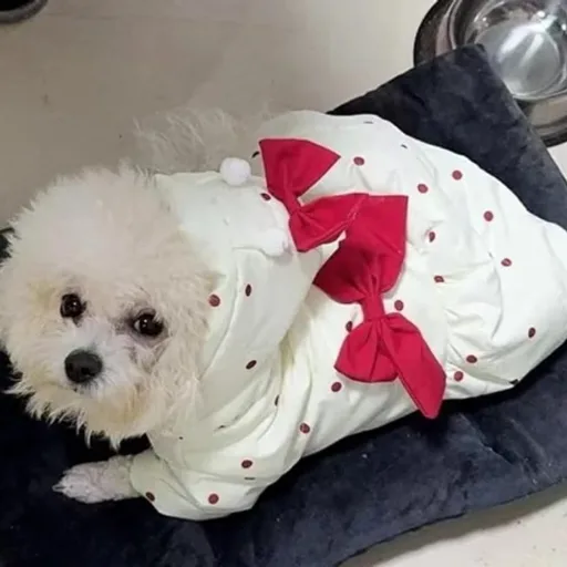 1pcs Pet Clothes Pet Warm Coat, Cat Thick Cute Dress Dog Clothes(M)