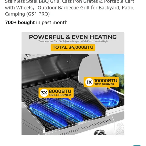 34,000 BTU 3-Burner Propane Gas Grill with Side Burner, All Stainless Steel BBQ Grill, Cast Iron Grates & Portable Cart with Wheels,Outdoor Barbecue Grill for Backyard, Patio, Camping (G31 PRO)