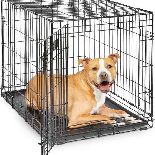 Midwest 36-Inch Single Door iCrate, for Medium-Large Breeds, 41-70 lbs