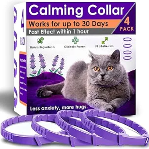 Calming Collar for Cats