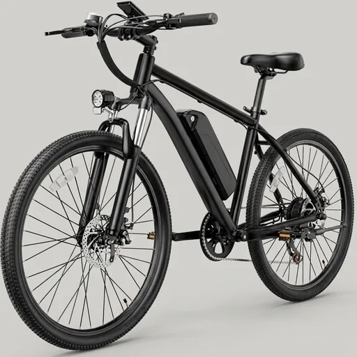 Jasion EB5 Electric Bike