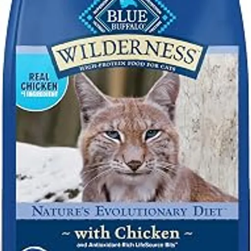 Blue Buffalo Wilderness Chicken Adult Indoor Dry Cat Food, Grain-Free, 5 lb