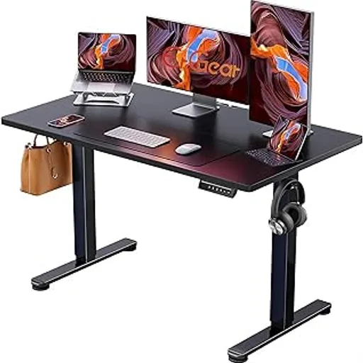 ErGear 48 X 24 Inch Height Adjustable Electric Standing Desk, Black