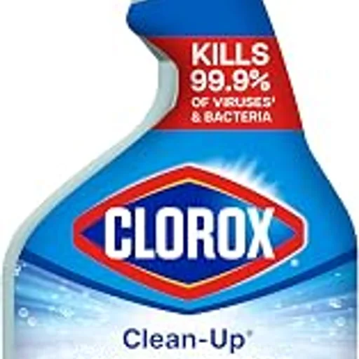 CloroxClean-Up Multi-Surface Cleaner with Bleach