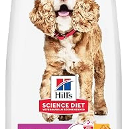 Hill's Science Diet Senior 11+ Small & Mini Dry Dog Food