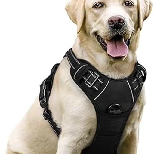 DOGSAFE Dog Harness