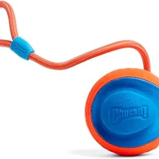 Chuckit!Rope Fetch Dog Toy, Ball on Rope, Durable EVA Rubber, 5.5-in
