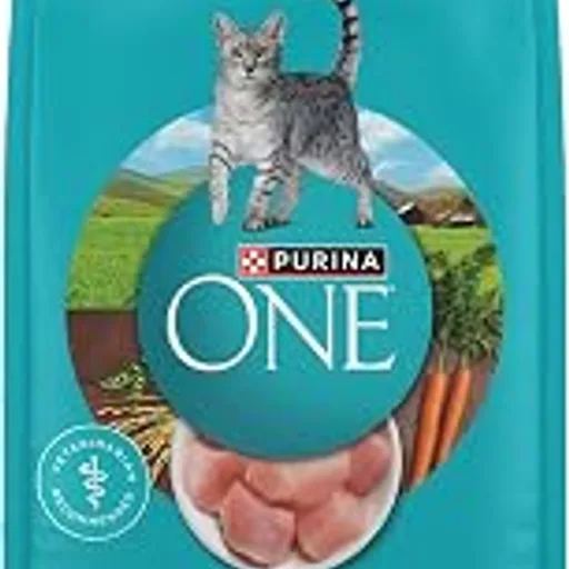 Purina ONE Tender Selects Dry Cat Food