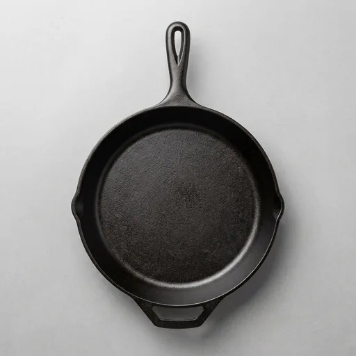 Lodge Seasoned Cast Iron Skillet