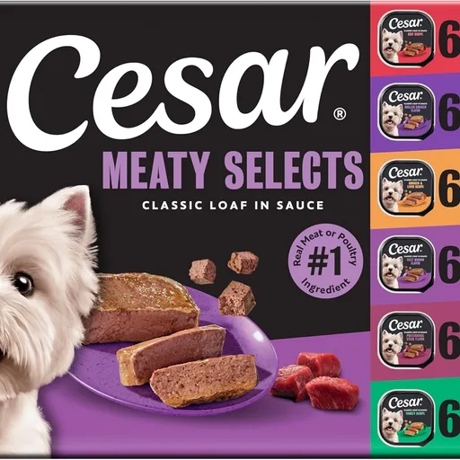 Cesar Classic Loaf in Sauce Wet Dog Food