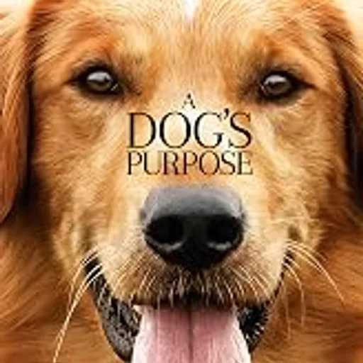 A Dog's Purpose