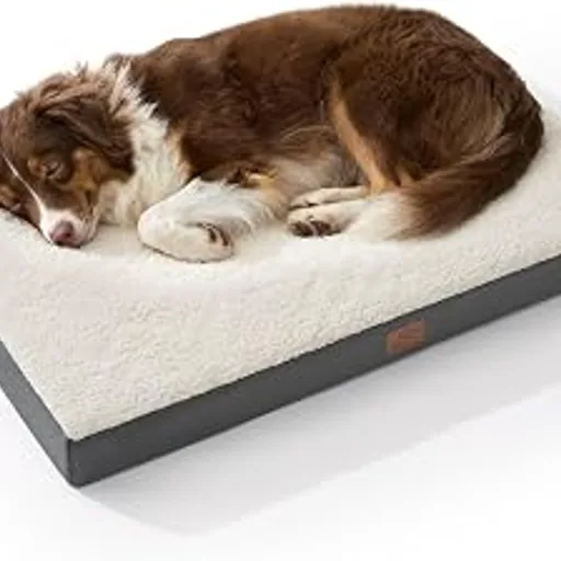 Bedsure Washable Dog Beds Large Sized Dog with Comfy Sherpa, 36x27in Grey