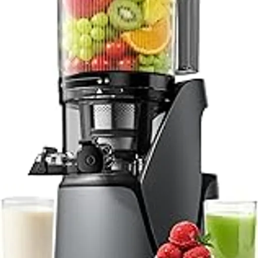 Juicer Machines, 3-in-1 Cold Press Juicer, Premium Gray