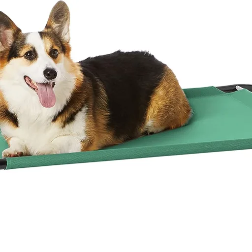 Amazon Basics Cooling Breathable Elevated Dog Bed with Metal Frame for Medium Dogs, 43" x 26" x 7.5", Green