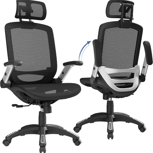 GABRYLLY Ergonomic Office Chair