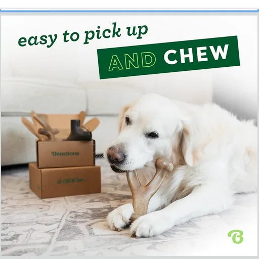 Benebone Medium 4-Pack Dog Toys for Aggressive Chewers