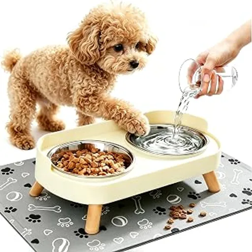 Elevated Dog Bowls with Mat