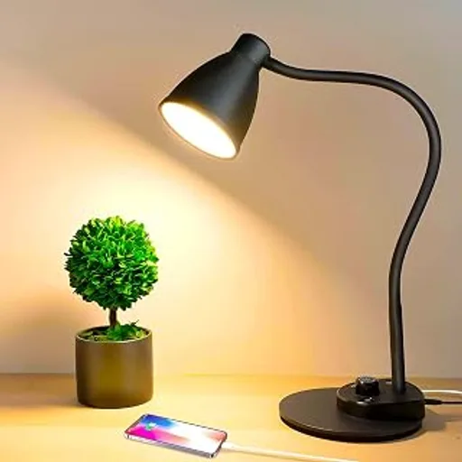 BOHON LED Desk Lamp