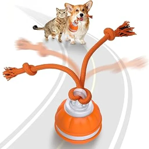 PAWSPIK Rope Runner Interactive Rechargeable Dog Ball Toy, Small | Automatic Rolling Dog Toy with Rope, Motion-Activated, 3 Play Modes, Built-in Squeaker and LE