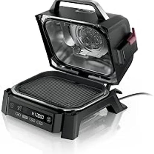 Ninja Woodfire Outdoor Grill & Smoker OG301