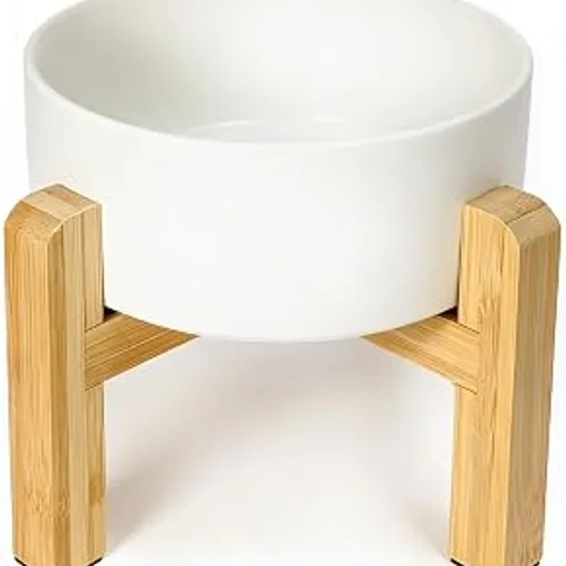 Ceramic Elevated Dog Bowl with Bamboo Stand