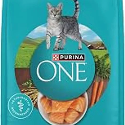Purina ONE Tender Selects Blend With Real Salmon Dry Cat Food