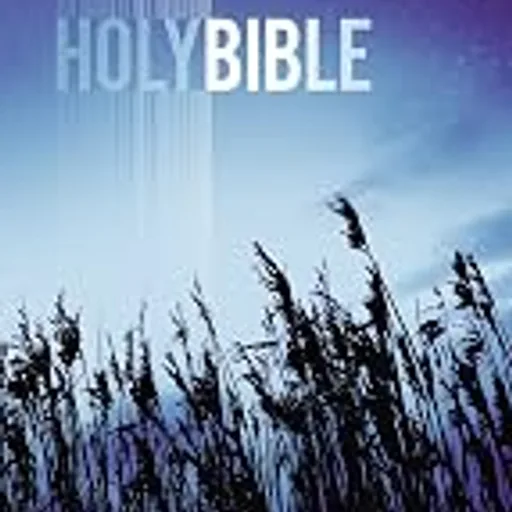 NIV Value Outreach Bible