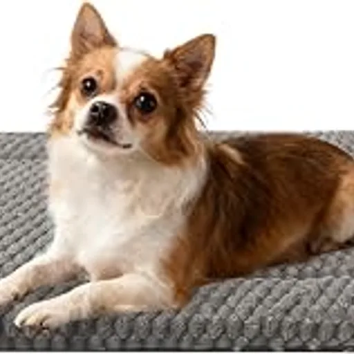 Dog Bed Crate Mat