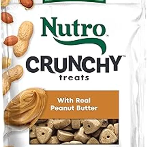 Nutro Crunchy Dog Treats with Real Peanut Butter, 16 oz
