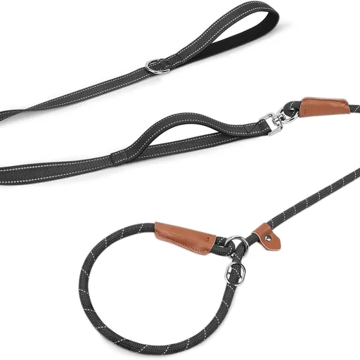 Joytale Slip Lead Dog Leash