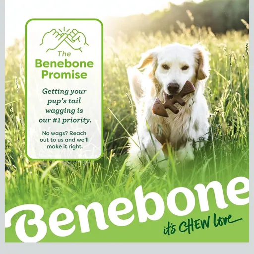 Benebone Medium 4-Pack Dog Toys for Aggressive Chewers