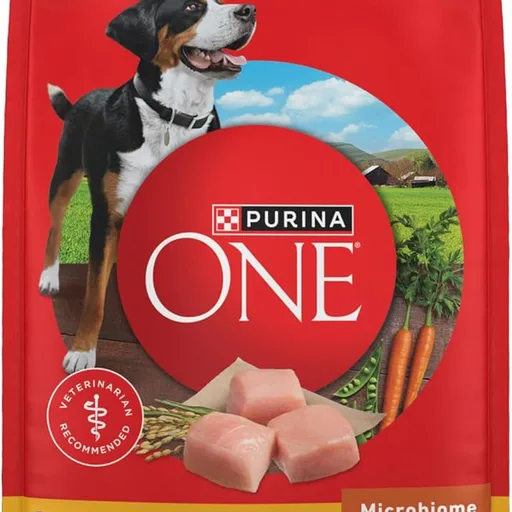 Purina ONE Chicken & Rice Formula Dry Dog Food, 8 lb Bag