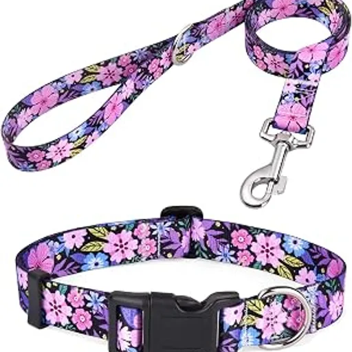 Mihqy Dog Collar and Leash Set, for Small Dogs, Pink Floral Set,S