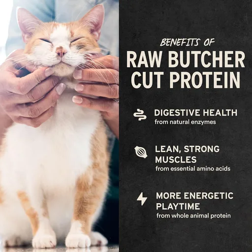 Freeze Dried Chicken Hearts for Cats
