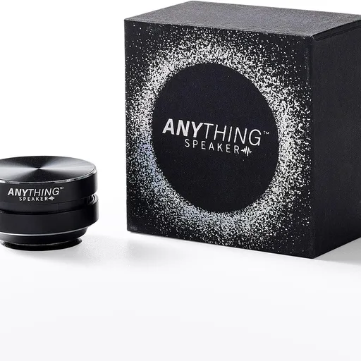 Anything Speaker