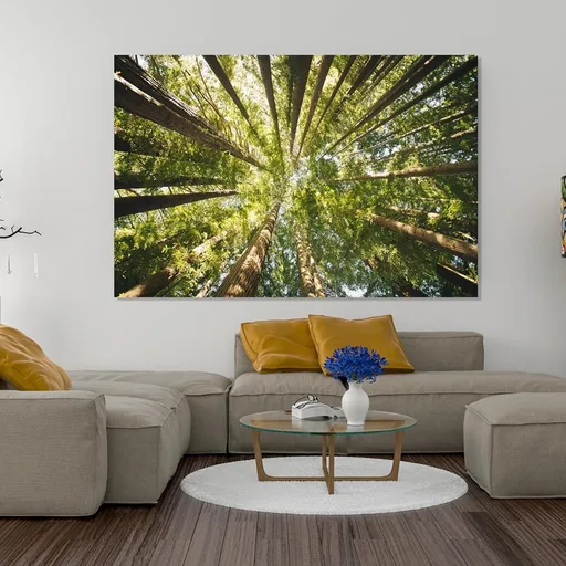 Nature Wall Art Prints - Ocean Forest Mountain Lake Canvas Landscapes - Small to Extra Large Living Room Bedroom Kitchen Bathroom Décor (Serenity in the Forest, 16"L x 24"W)