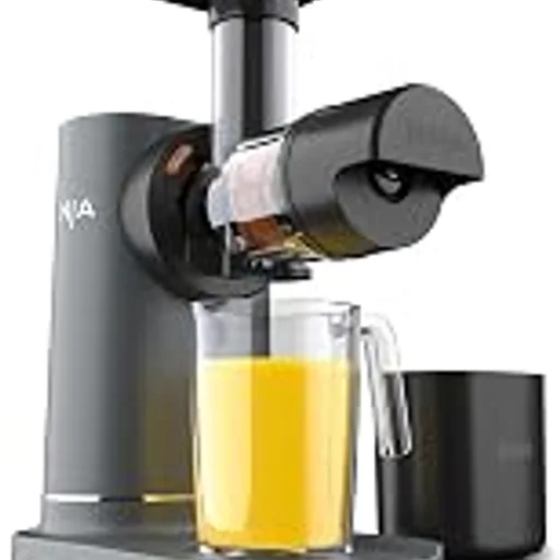 Ninja NeverClog Cold Press Juicer JC151