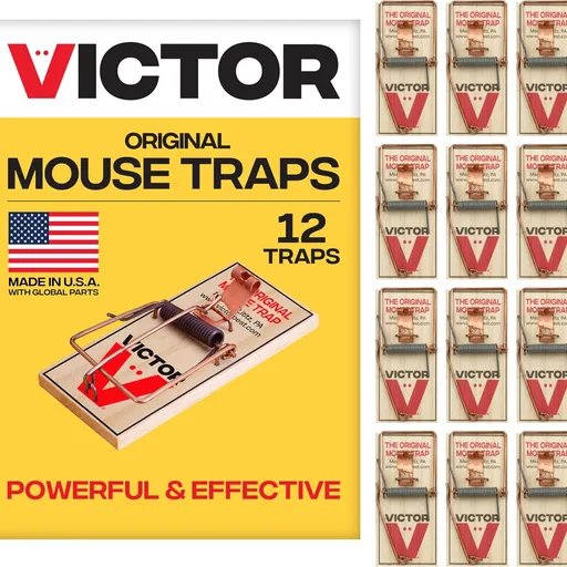 Victor Metal Pedal Mouse Traps, 12-Pack, Reusable Wooden Snap Traps