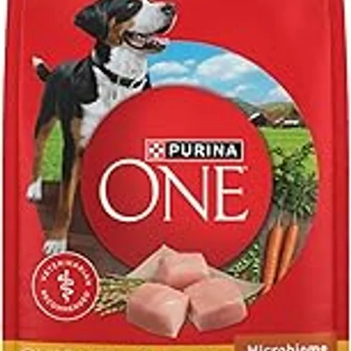 Purina ONE Chicken & Rice Formula Dry Dog Food, 8 lb Bag