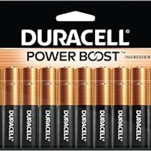 Duracell Coppertop AA Batteries